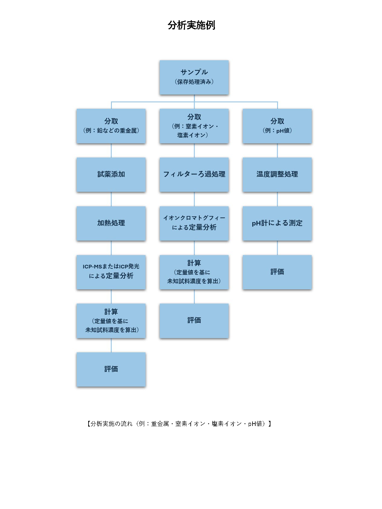 分析実施の流れ（例：重金属・窒素イオン・塩素イオン・pH値）